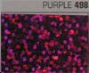 StarFlex politape - violet - pour Découpe - prix bobine (50cmx20ml)